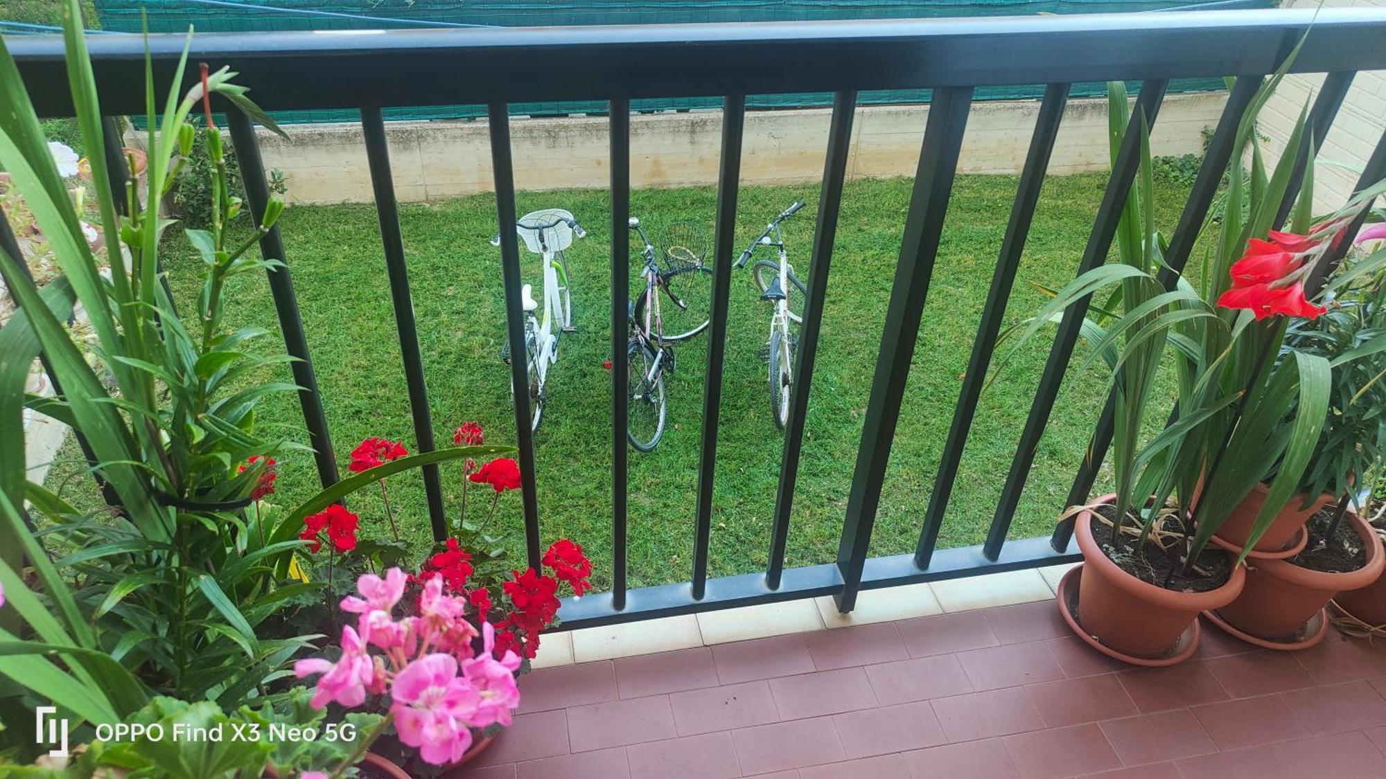 Ani Appartement Porto SantʼElpidio Buitenkant foto